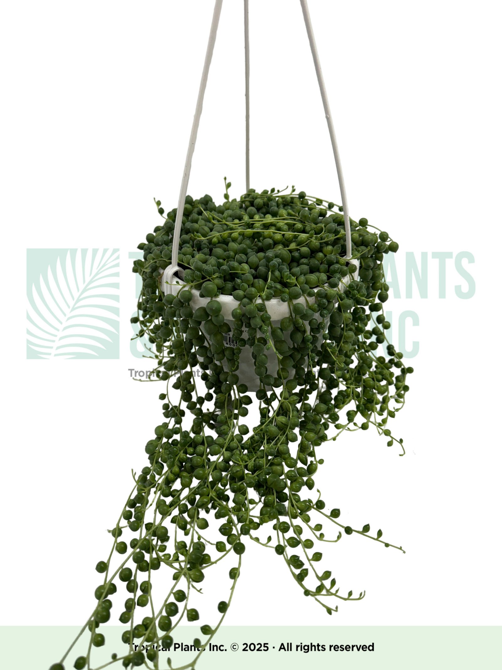 Hanging Pearl of Hearts