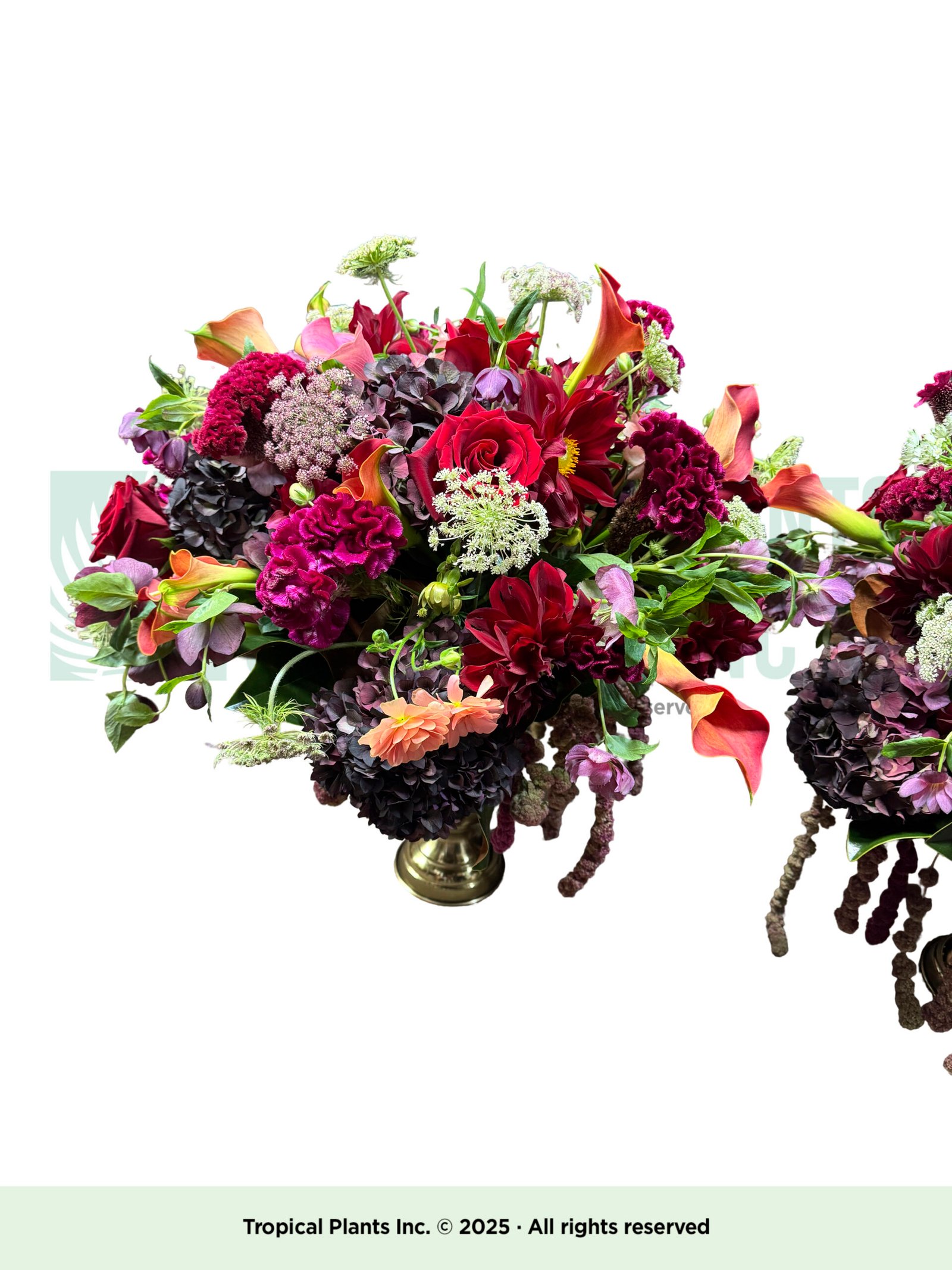 Flower Arrangement O