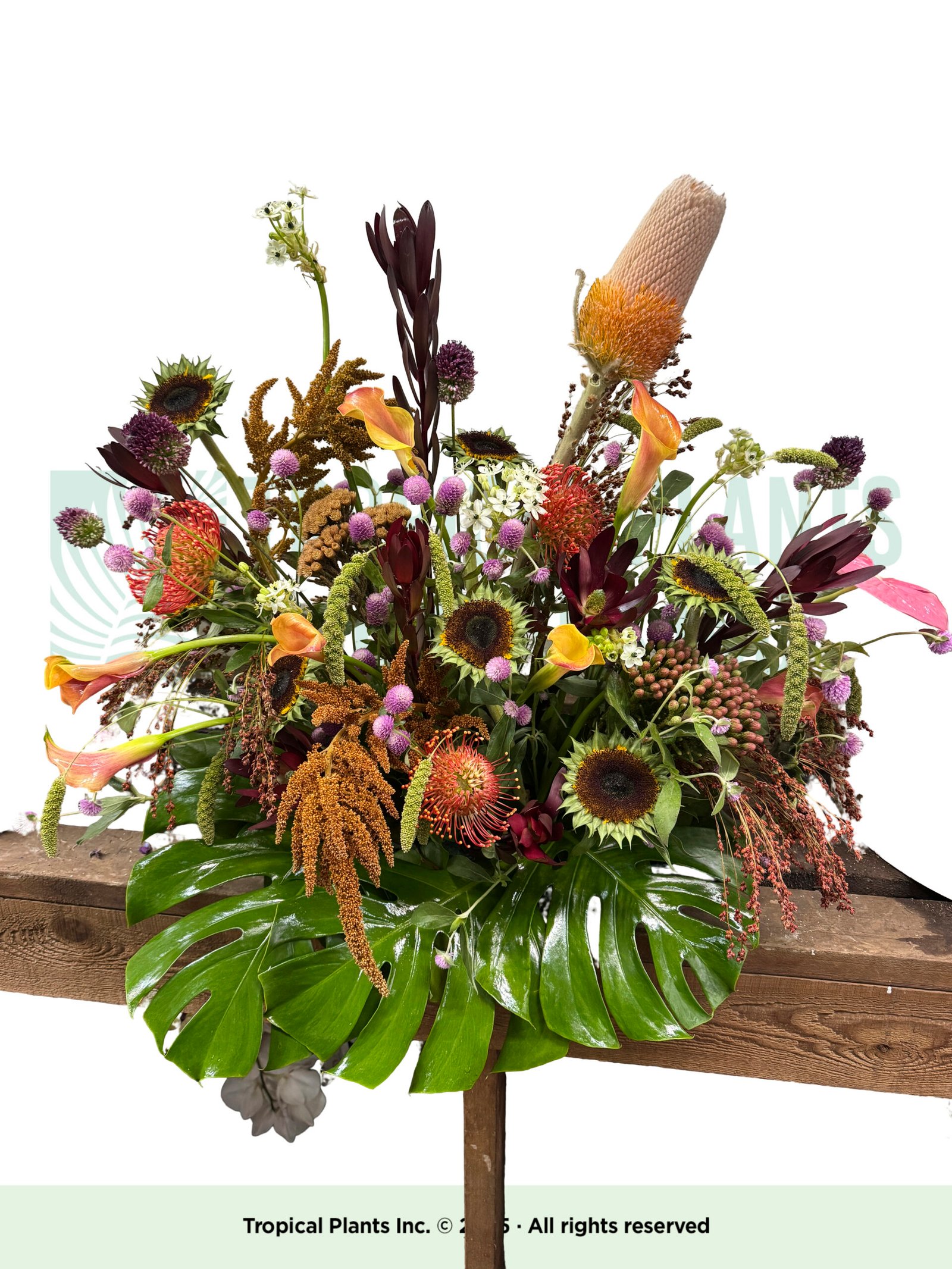 Flower Arrangement N