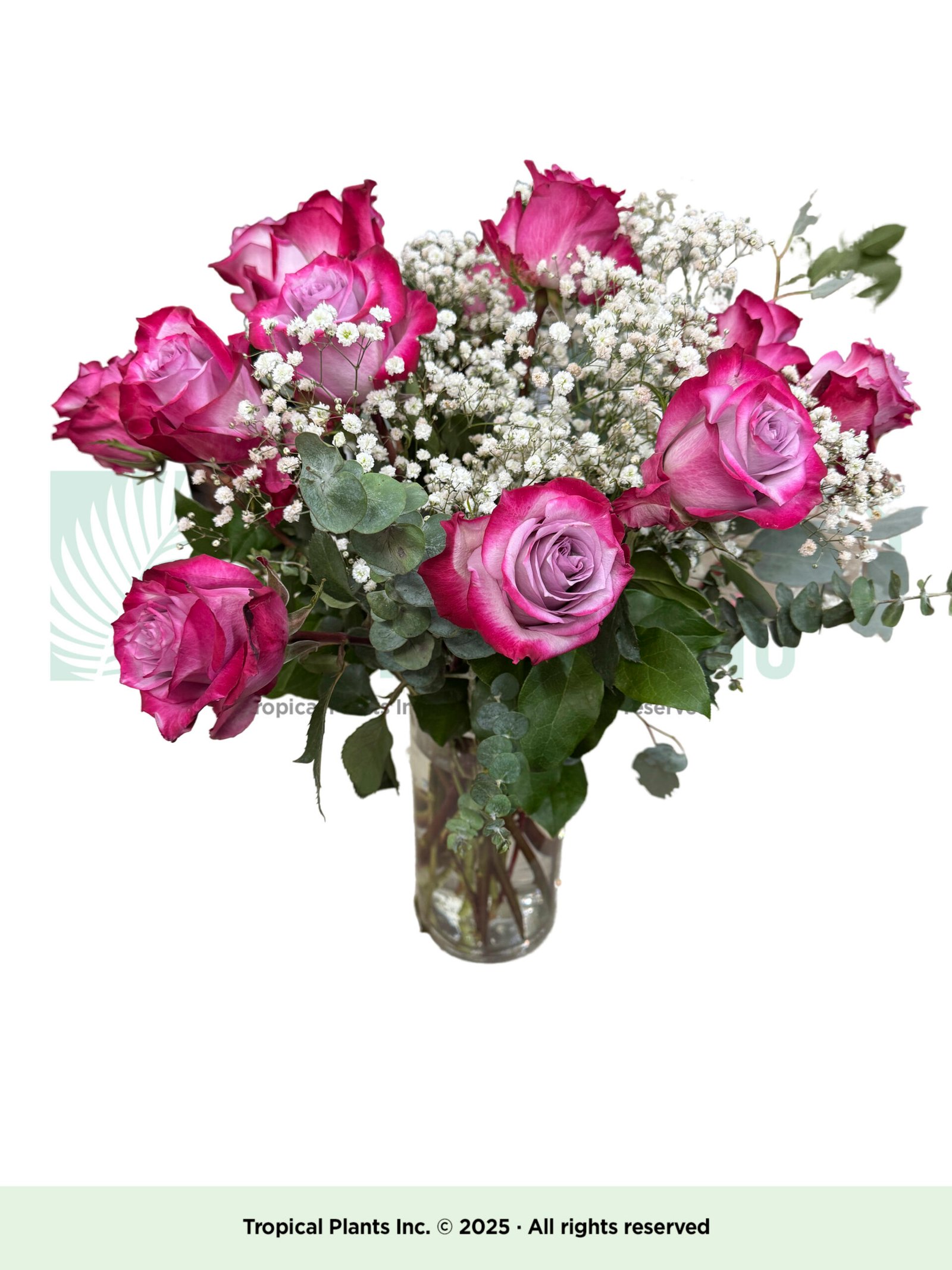 Pink/Purple Roses In Vase