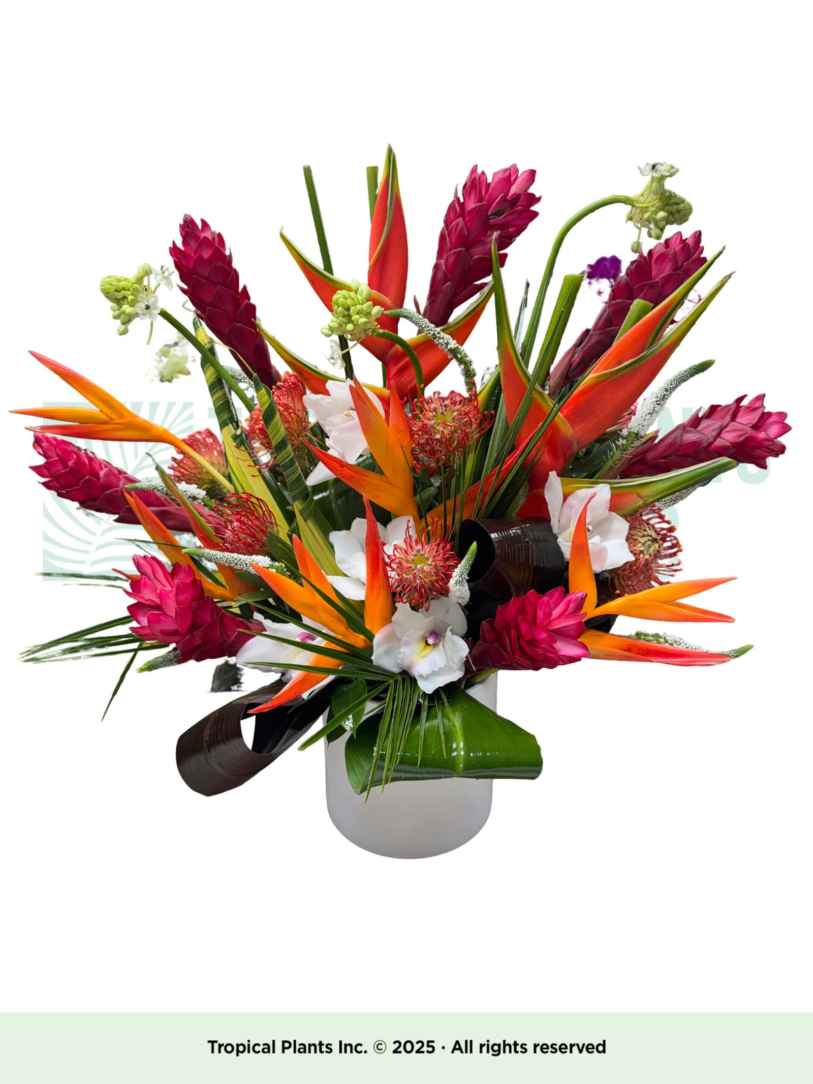 Tropical Arrangement In White Vase